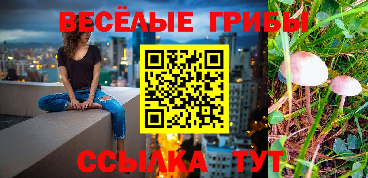 где купить наркоту  Галлюциногенные грибы Cubensis  Вход с VPN  Нарткала 